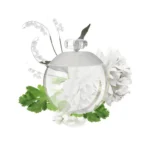 Perfume Noa Feminino Eau de Toilette - Cacharel 100ml - Image 3