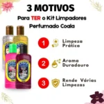 Kit Coala Limpadores Perfumados: Chá Branco, Ameixa Dourada, Flor de Cacto e Orquídea Negra 120ml - Imagem 4