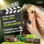 Suplemento Vitamínico Aminoácido Queranon Pasta 70Gr para Gatos - Image 3