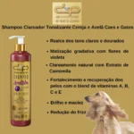 Shampoo Clareador Tonalizante Cereja e Avelã Dolce Pet Cães e Gatos - 300 Ml - Image 2