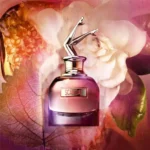 Scandal Jean Paul Gaultier Eau De Parfum 80ml - Perfume Feminino - Image 3