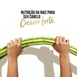 Shampoo Pantene Bambu Nutre e Cresce 200ml - Image 4