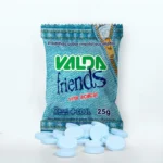 Valda Friends Pastilha Sabor Menta Refrescante Contém 10 Sachês de 25g Cada - Image 2