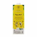 Kit 3x: Leite Vegetal Caju + Pará a Tal da Castanha 1l